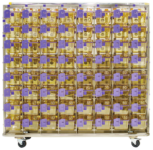 Стеллаж для клеток с лабораторными мышами BCR-MI07-160-C11-PPSU SHINVA