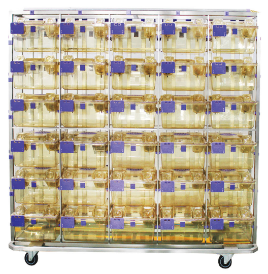 Стеллаж для клеток с лабораторными крысами BCR-RI04-30-C11-PPSU SHINVA