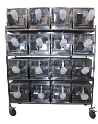 Стеллаж с 16 клетками для лабораторных морских свинок TD1390CL